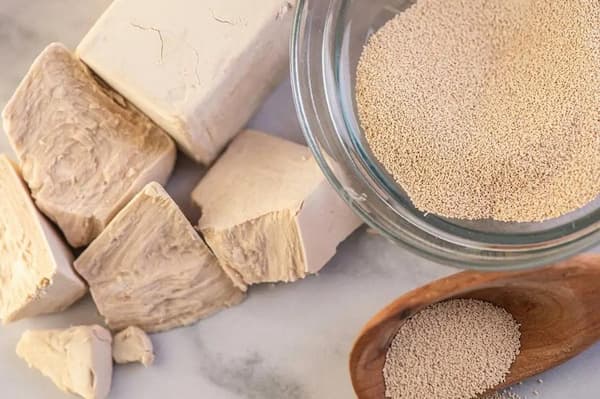 تصویر 1 از قیمت خمیر مایه جامد با کیفیت ارزان + خرید عمده